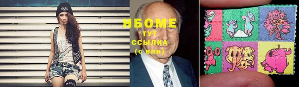 индика Алексин