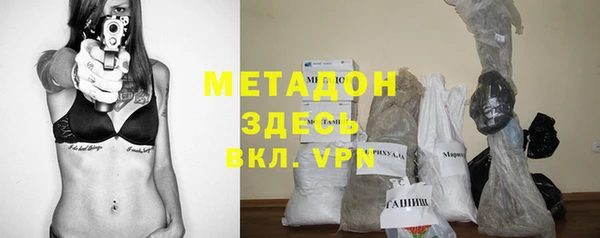 индика Алексин