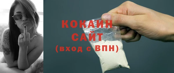 индика Алексин