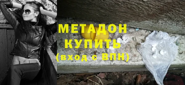индика Алексин