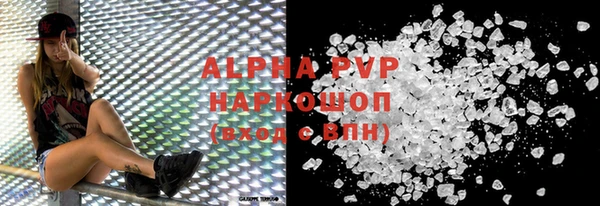 прущие грибы Осинники