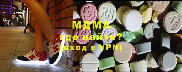 индика Алексин
