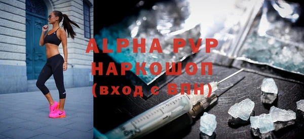 индика Алексин
